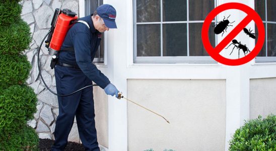 Çobanlar Böcek İlaçlama böcek ilaçlama ve haşere kontrolü — ilaclama-tr.com